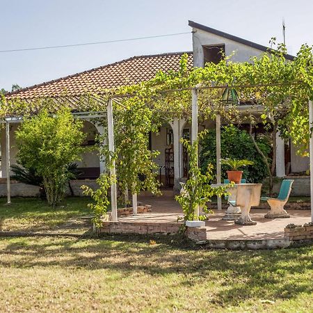 Villa Oidor - Cilento アシェーア エクステリア 写真