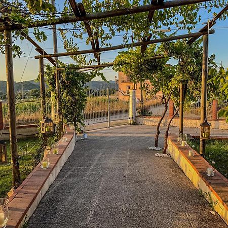Villa Oidor - Cilento アシェーア エクステリア 写真